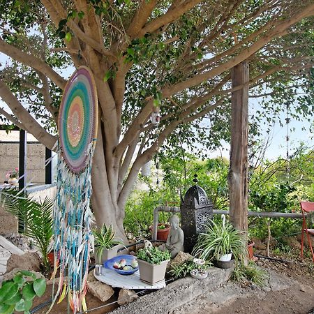 Casa Munay グラナディージャ・デ・アボナ エクステリア 写真